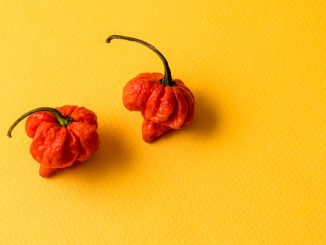 carolina reaper