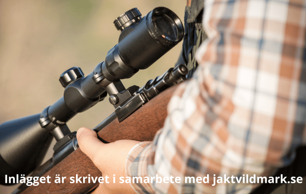 värmesikte