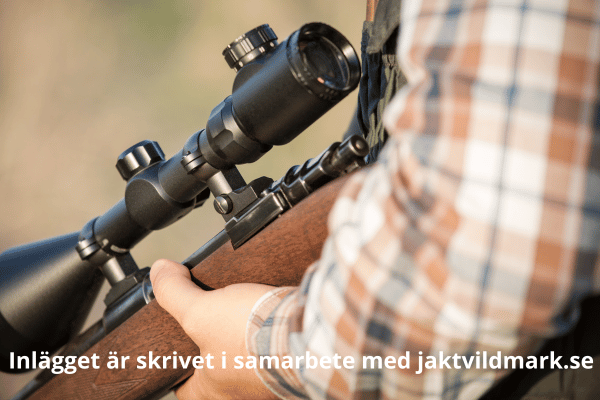 värmesikte
